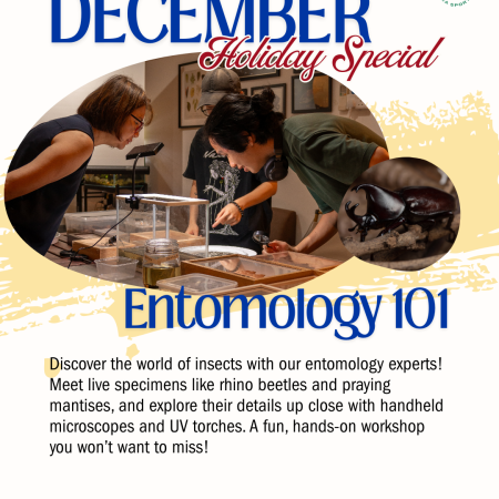 Entomology 101 Workshop by Untamed Paths @ Lazarus